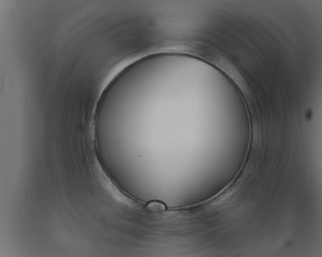 X0000089451436200707061233