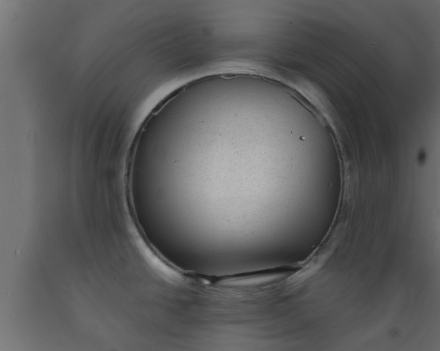 X0000089451438200707061233
