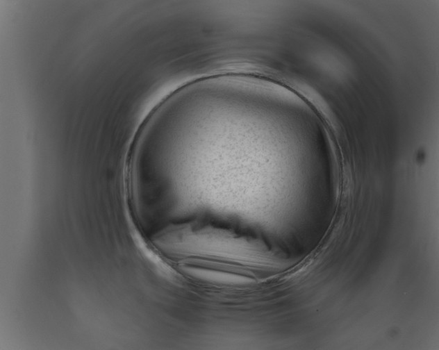 X0000089451439200707061233
