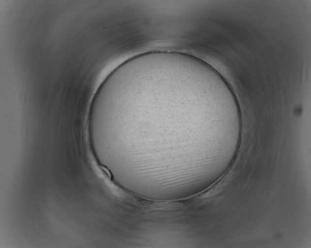 X0000089451440200707061233