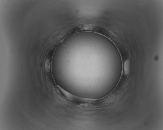 X0000089451443200707061232