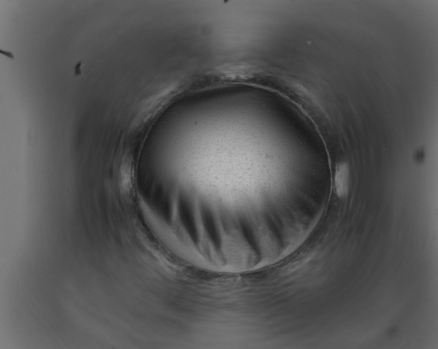 X0000089451444200707061232