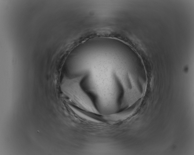 X0000089451445200707061232