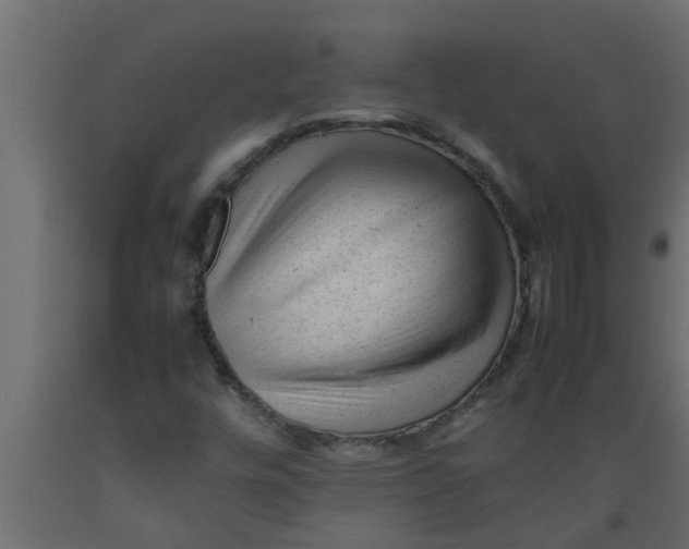 X0000089451448200707061232