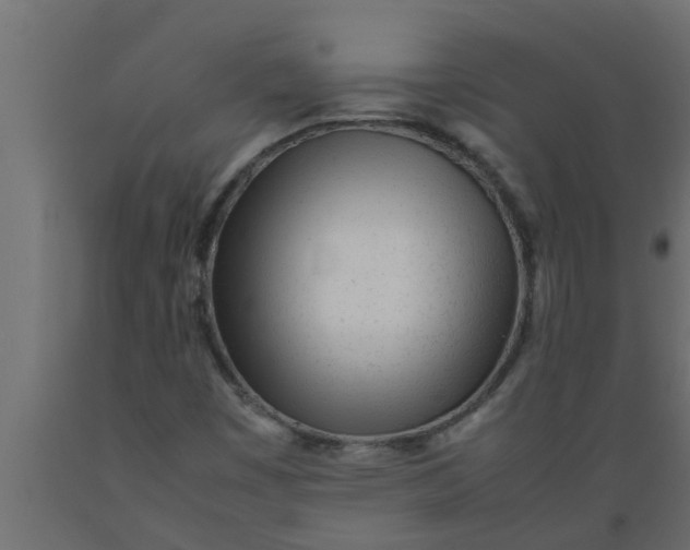 X0000089451449200707061232