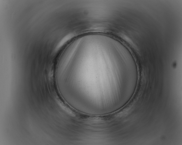 X0000089451450200707061232