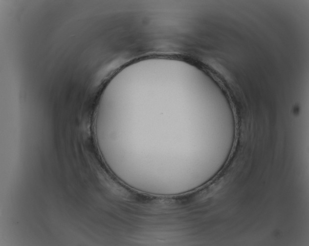 X0000089451451200707061232