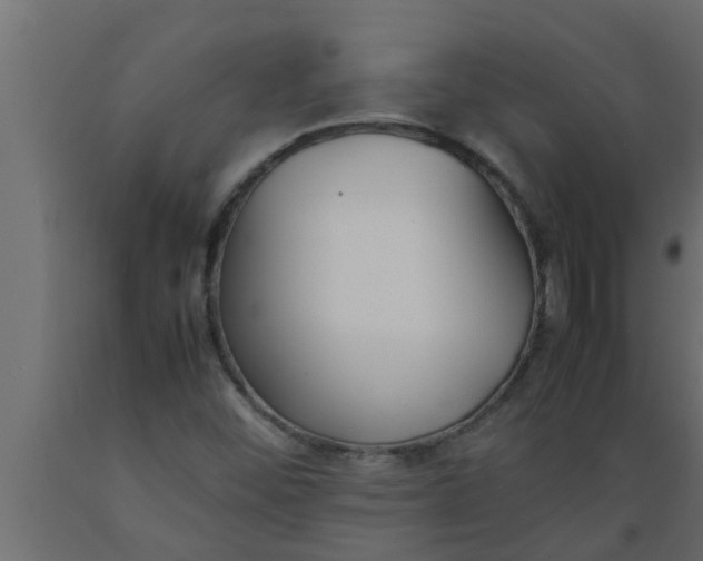 X0000089451452200707061232