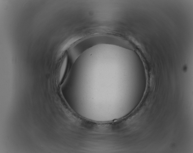 X0000089451453200707061232