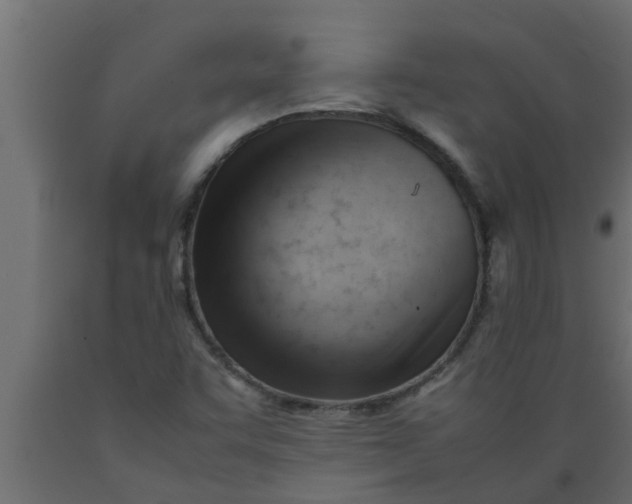 X0000089451455200707061232