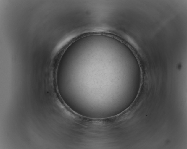 X0000089451456200707061232