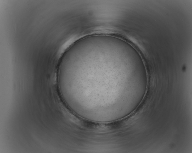 X0000089451459200707061232