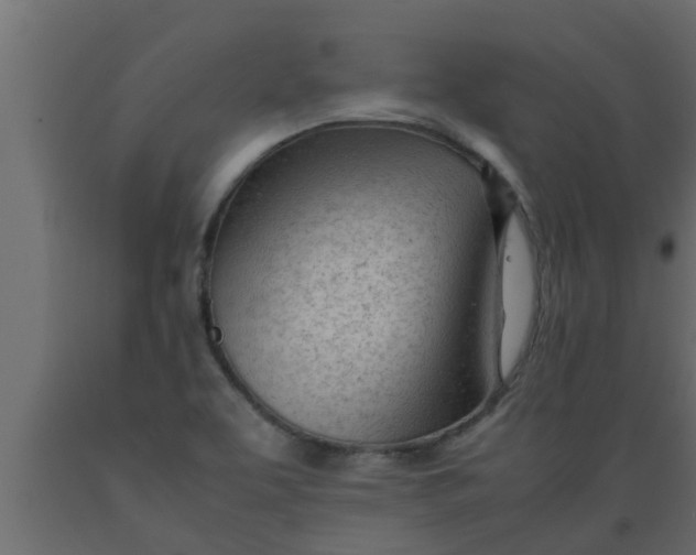 X0000089451463200707061232
