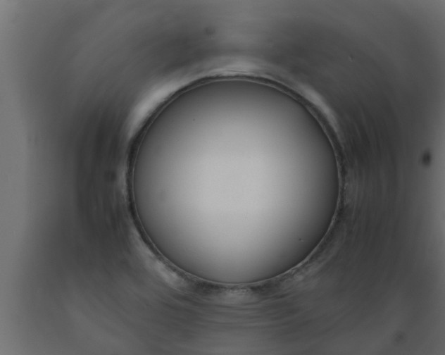 X0000089451464200707061232