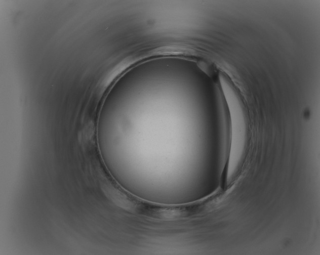 X0000089451465200707061232