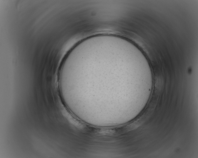 X0000089451466200707061232