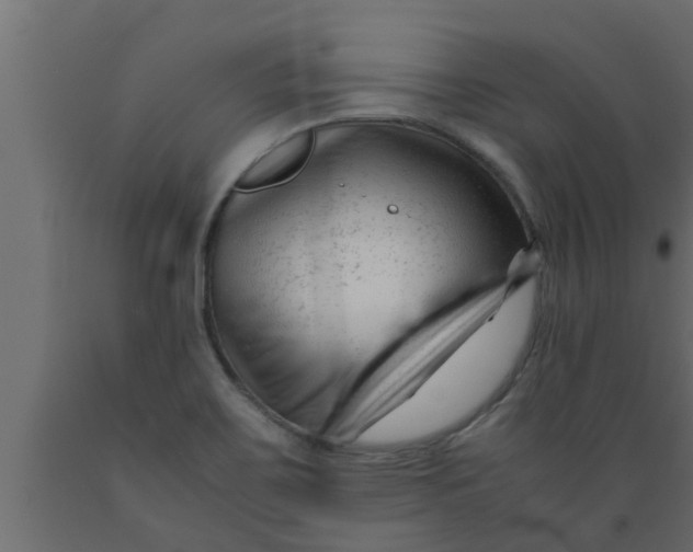X0000089451467200707061232