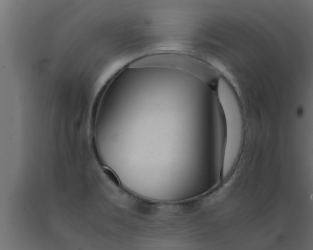 X0000089451469200707061232