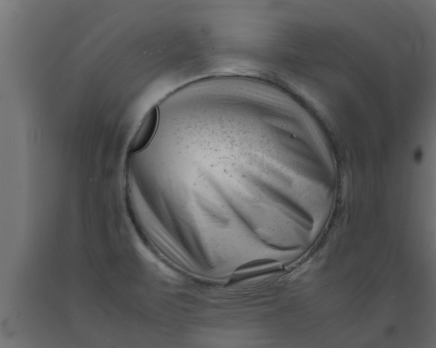 X0000089451471200707061232