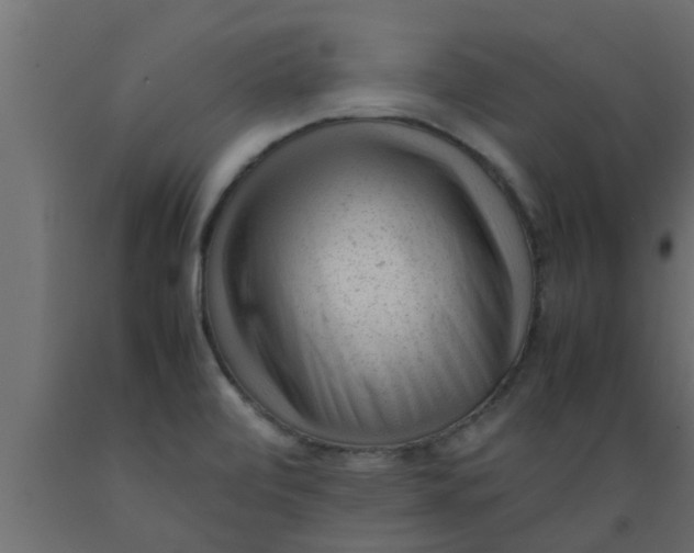 X0000089451472200707061232