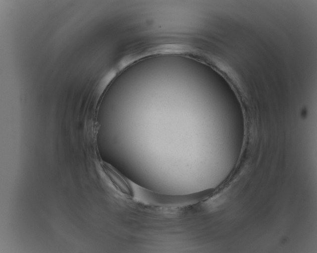 X0000089451473200707061232