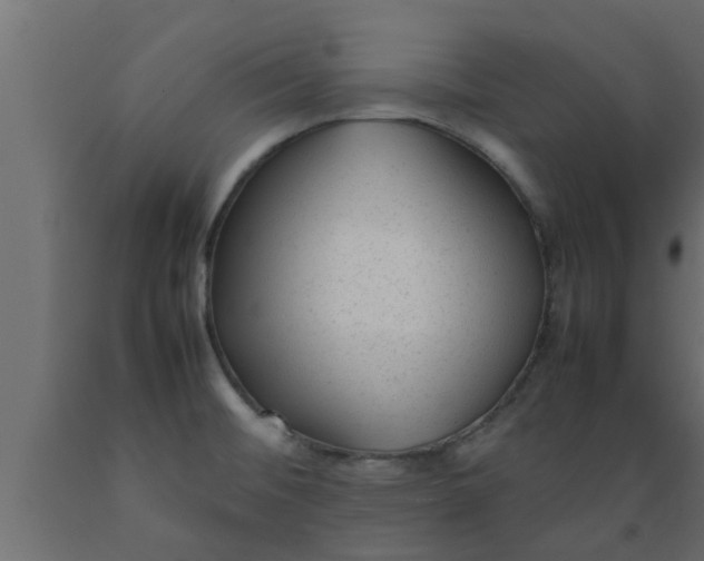 X0000089451476200707061232