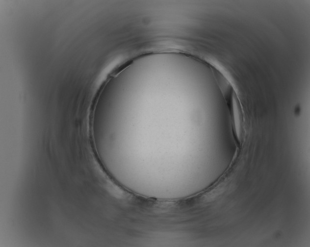 X0000089451477200707061232