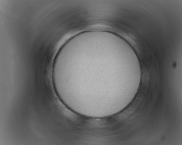 X0000089451478200707061232
