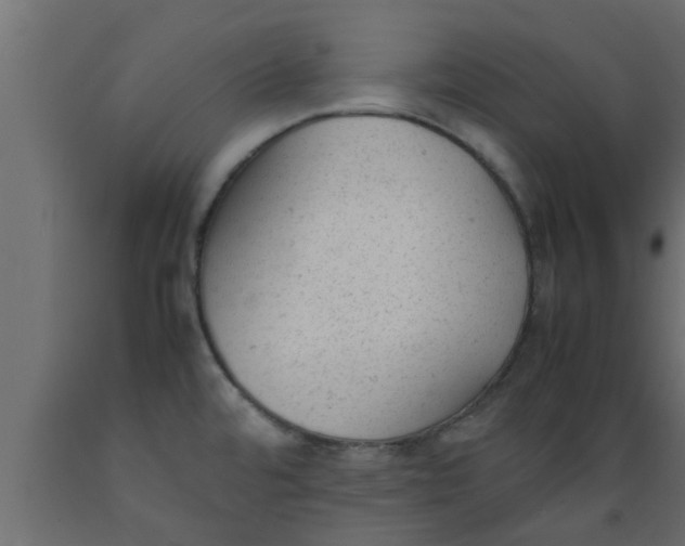 X0000089451480200707061232