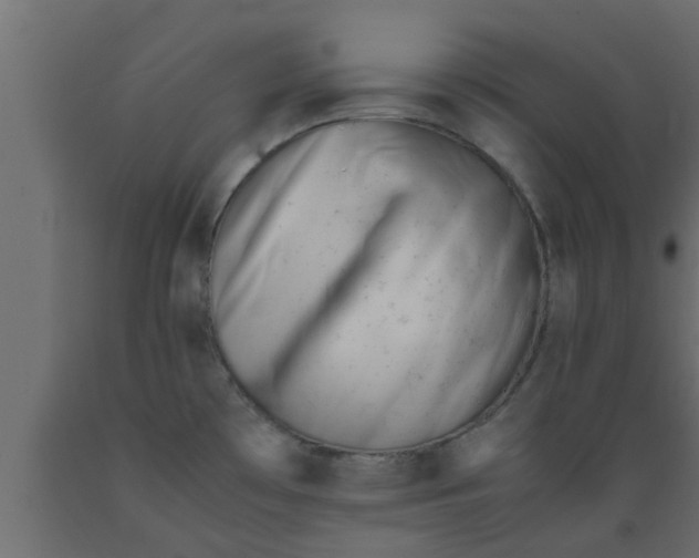 X0000089451481200707061232