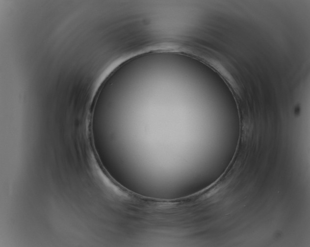 X0000089451484200707061232