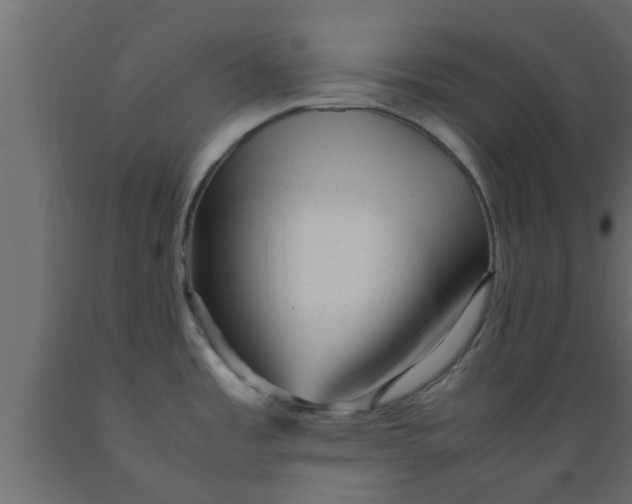 X0000089451485200707061232