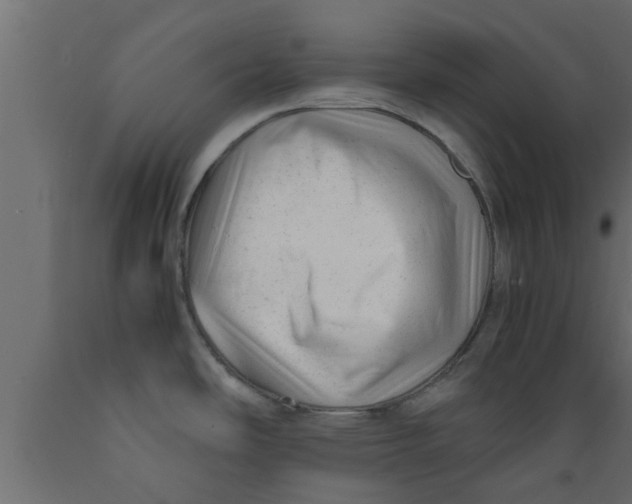 X0000089451486200707061232