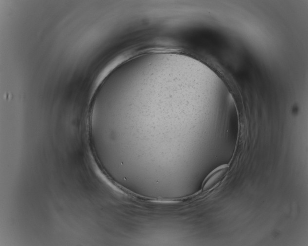 X0000089451487200707061232