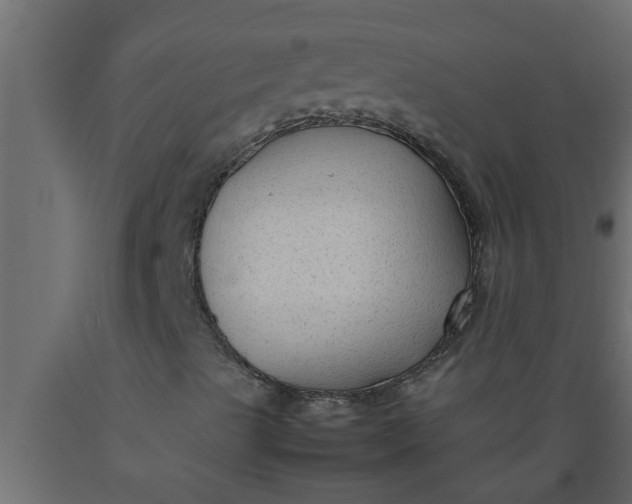X0000089451489200707061231