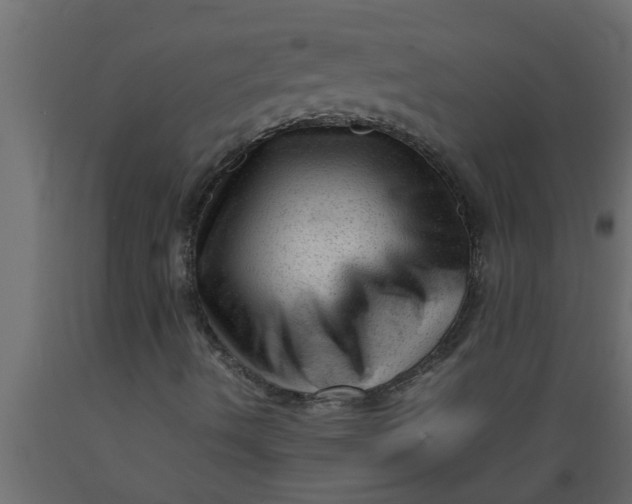 X0000089451490200707061231