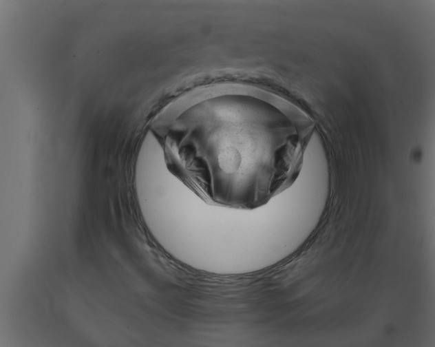 X0000089451492200707061231