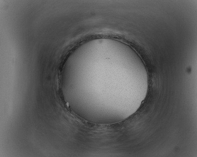 X0000089451493200707061231