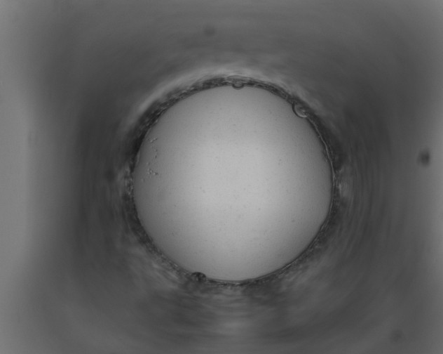 X0000089451495200707061231