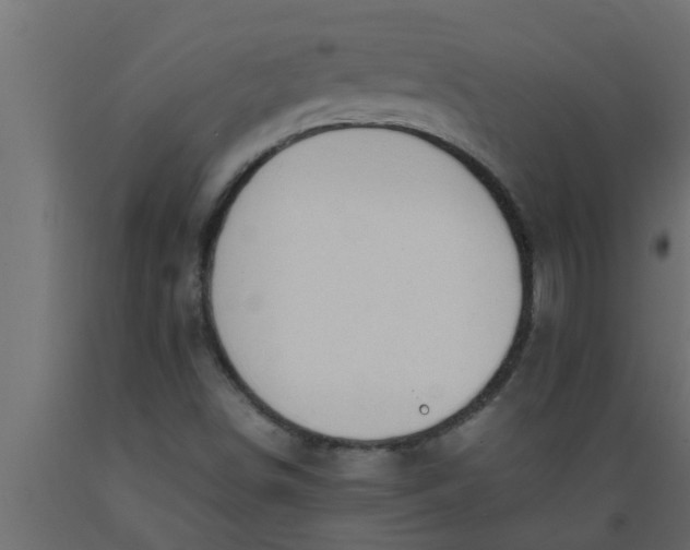 X0000089451498200707061231
