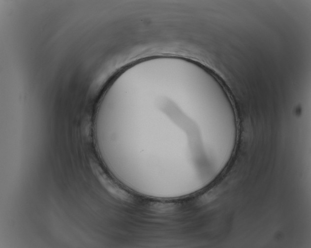 X0000089451499200707061231