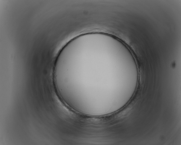 X0000089451500200707061231