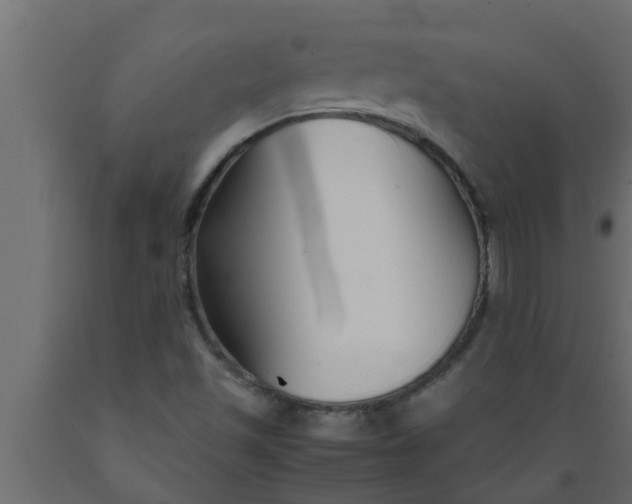 X0000089451501200707061231