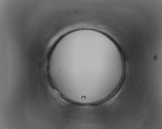 X0000089451502200707061231
