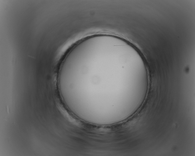 X0000089451503200707061231