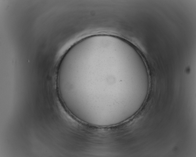 X0000089451504200707061231