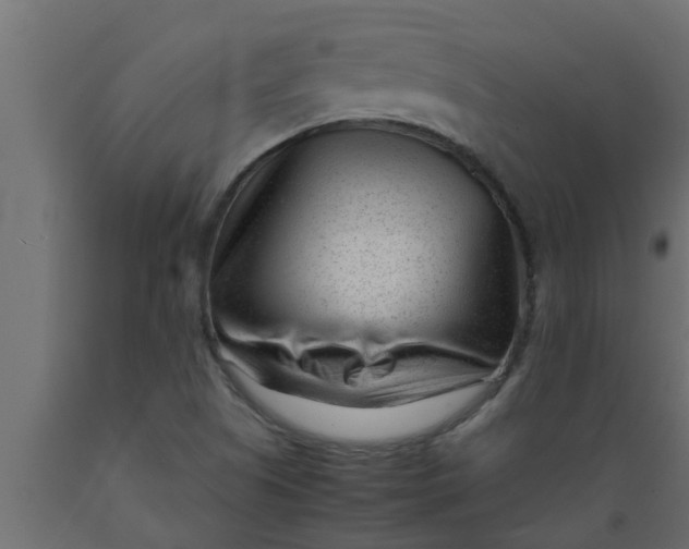 X0000089451505200707061231