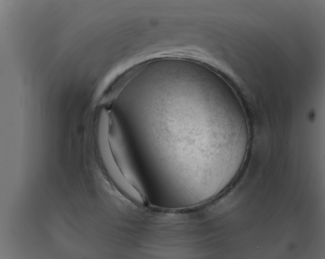 X0000089451506200707061231