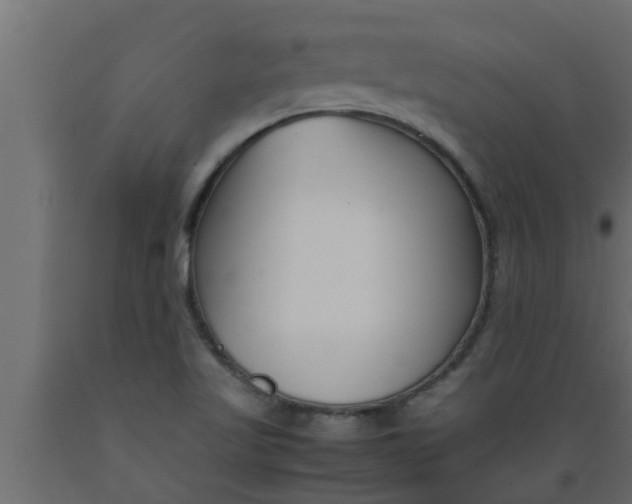 X0000089451509200707061231