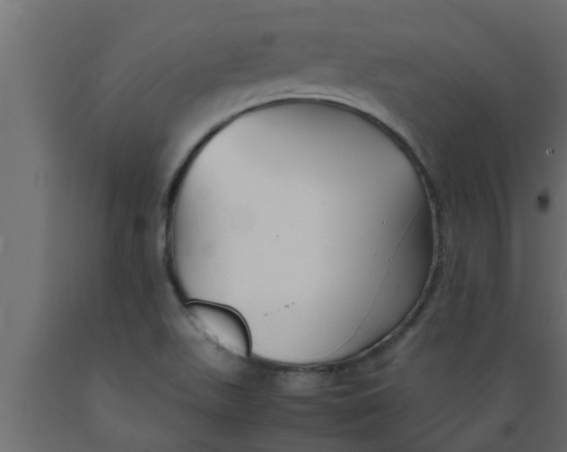 X0000089451511200707061231